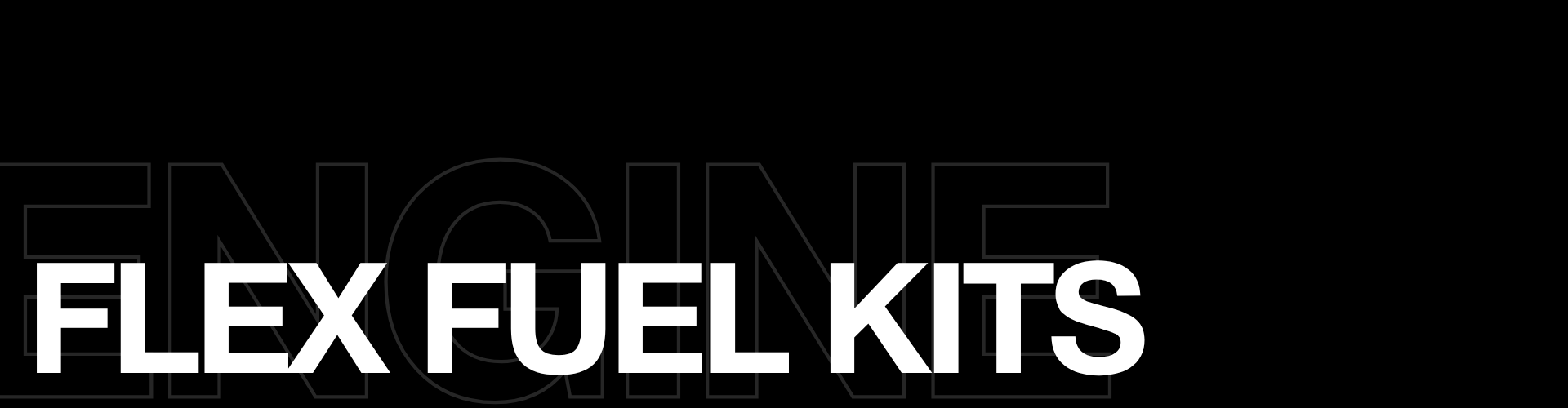 Flex Fuel Kit