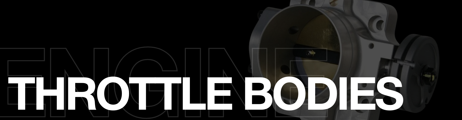 Throttle Bodies