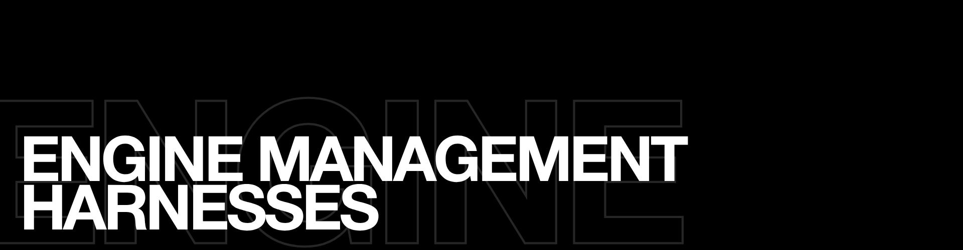 Engine Management Harnesses