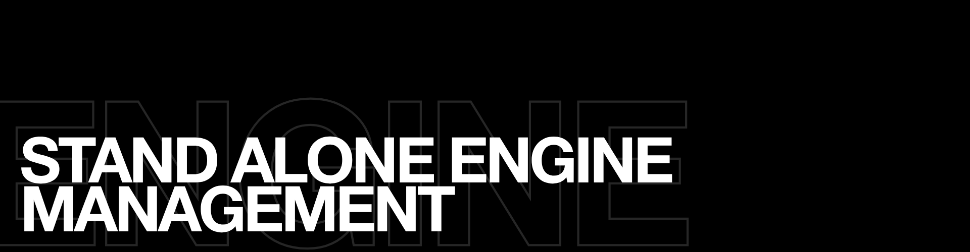 Stand Alone Engine Management
