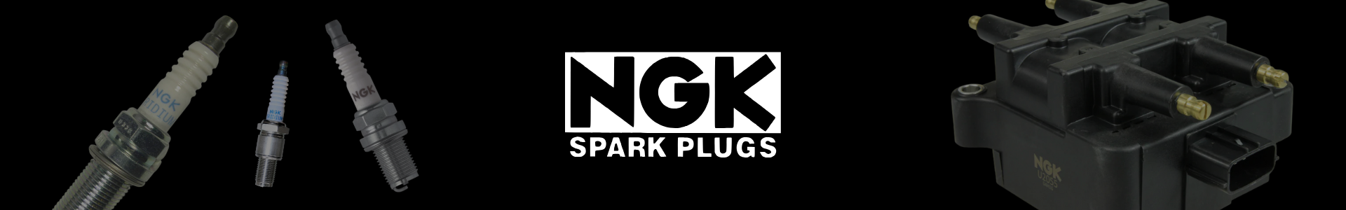 NGK Spark Plugs