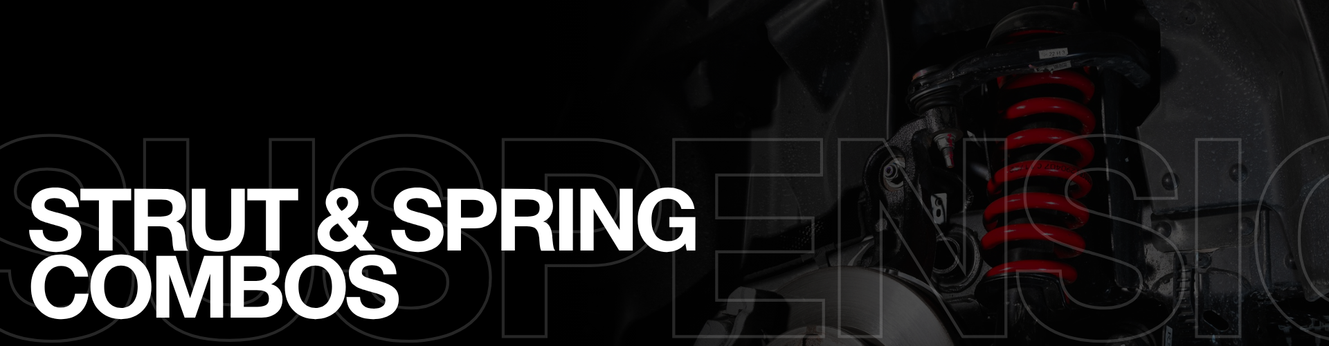 Strut & Spring Combos