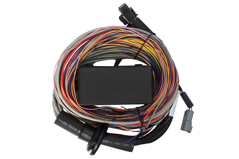 Haltech Elite 550 Premium Universal Wire-In Harness - 2.5m (8ft)