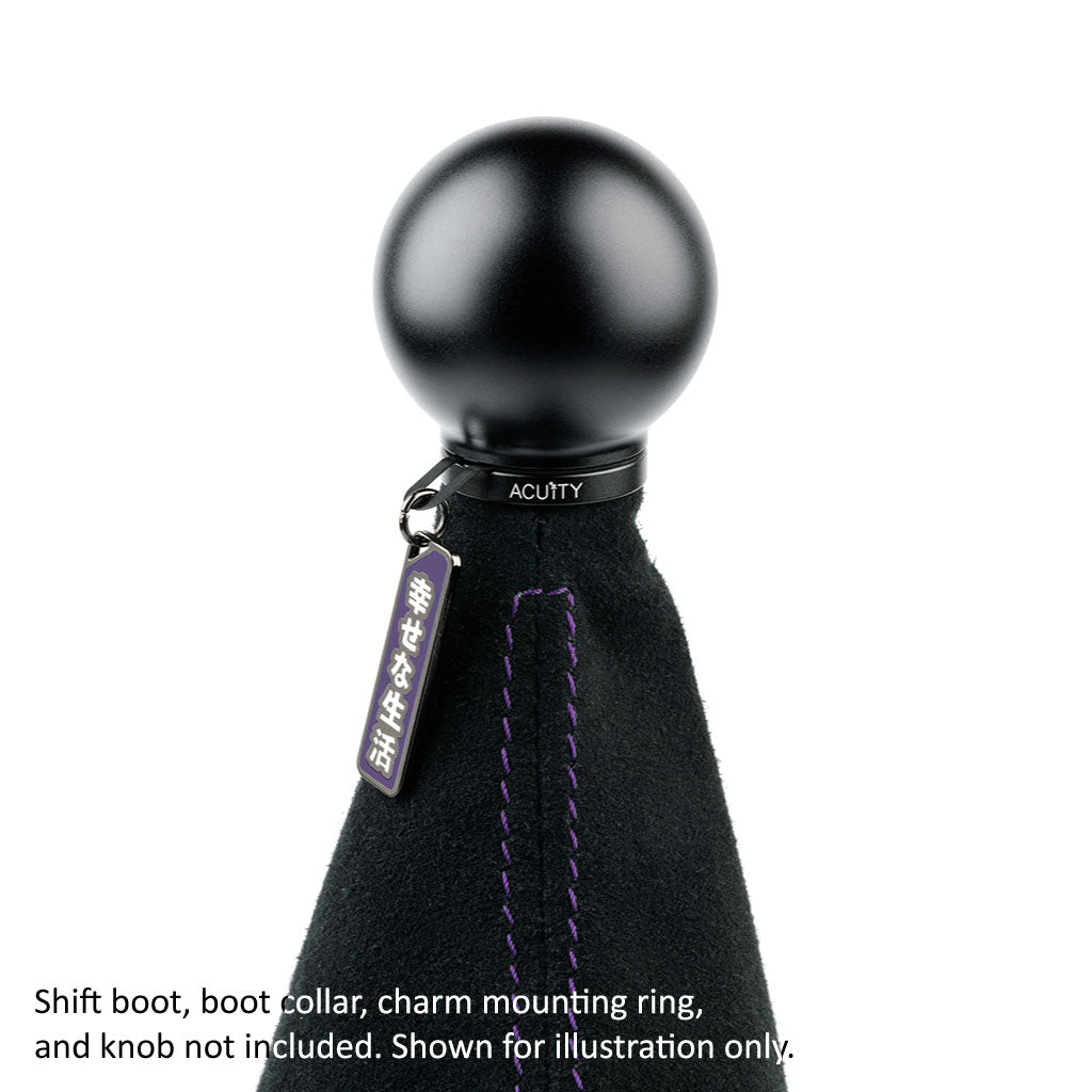 Acuity Instruments Season 1 Shift Knob Charms - Happy Shift (1980-C019)