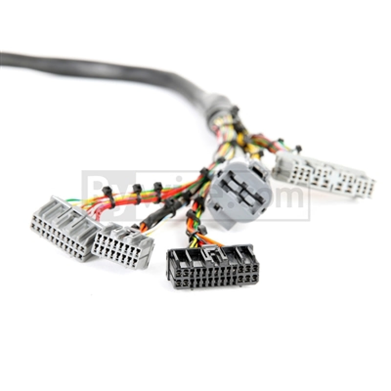 Rywire Honda B/D-Series Mil-Spec Eng Harness w/OBD1 Dist/Inj/Alternator & 92-95 Plugs