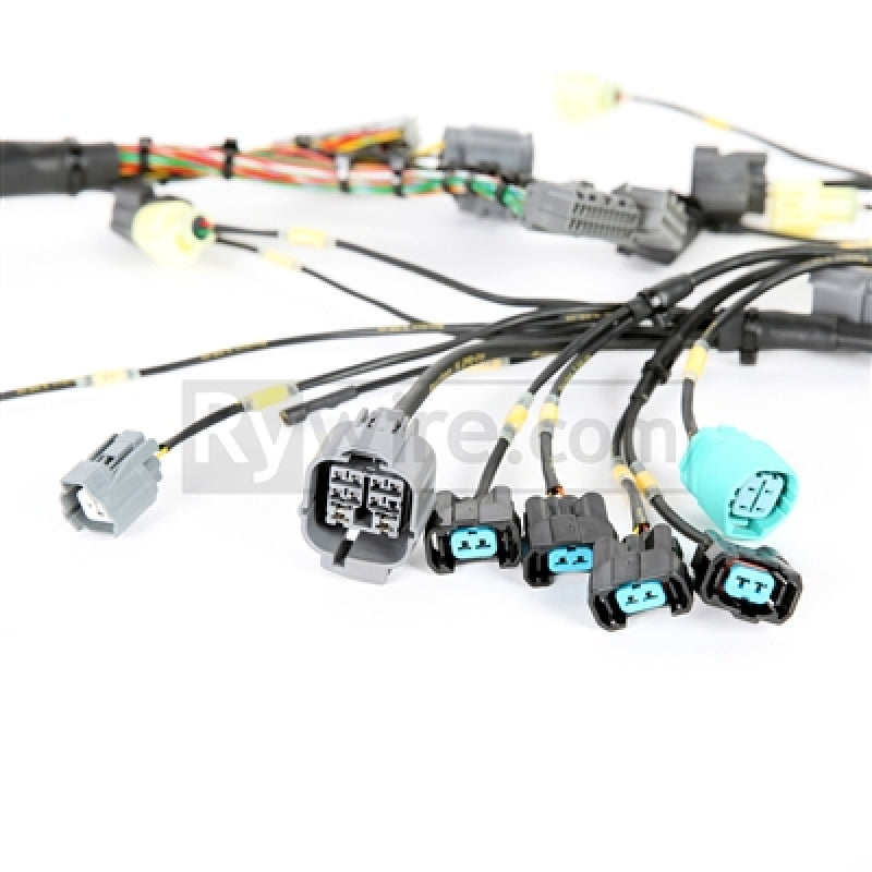 Rywire Honda B-Series Mil-Spec Eng Harness w/OBD2 Dist/Inj/Alt & OBD1 92-95 ECU Plugs