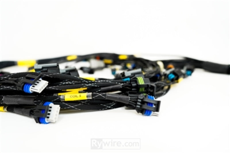Rywire GM LS3 V8 E38 ECU Engine Harness w/Bosch MAP Option