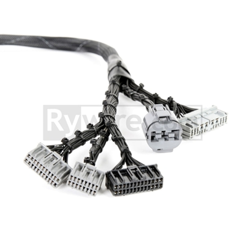 Rywire Honda B-Series OBD1 Tuck Budget Eng Harness w/OBD1 Dist/Inj/Alt/92-95 ECU Plugs