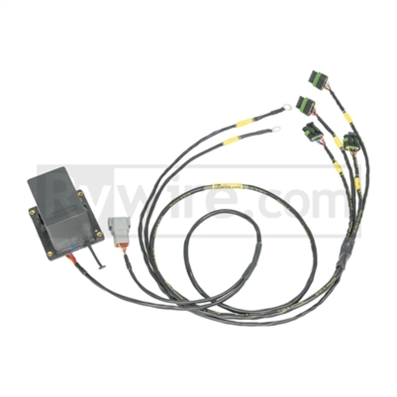 Rywire IGBT Coil Sub-Harness for 2 Rotor Engines