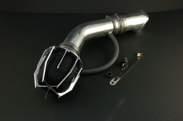 Weapon R 01-05 Honda Civic EX/HX/LX/DX Dragon Intake Polished
