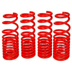 BLOX Racing Lowering Springs 94-01 Acura Integra