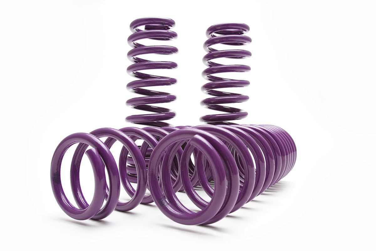 D2 Racing PRO Lowering Springs 01-05 Honda Civic