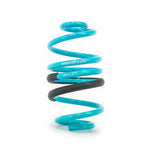 Godspeed Project Nissan Sentra(B17) 2013+Up Traction-S Lowering Springs