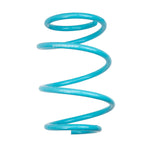 Godspeed Project Nissan Maxiam 16-20 Traction-S Performance Lowering Springs