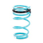 Godspeed Project Scion Xb(Xp110) 2208-14 Traction-S Lowering Springs