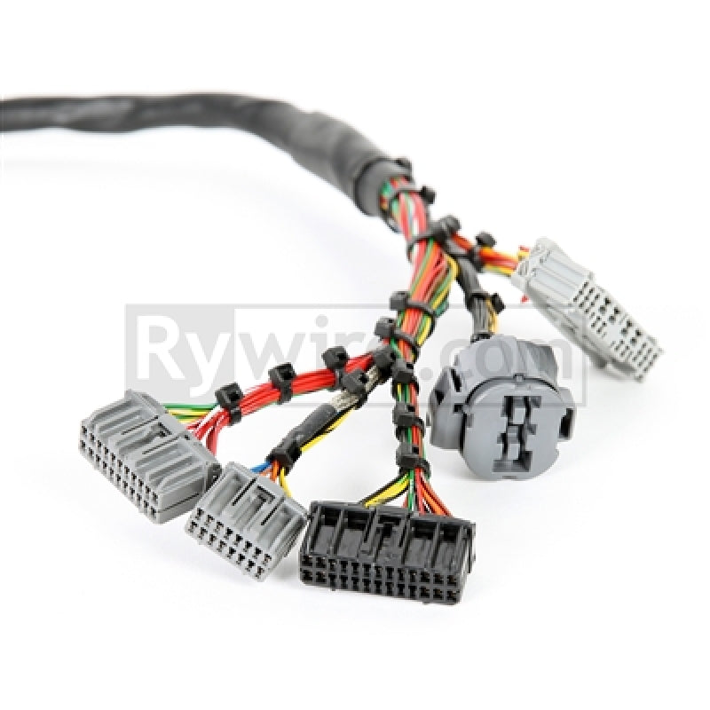 Rywire Honda B-Series Mil-Spec Eng Harness w/OBD2 Dist/Inj/Alt & OBD1 92-95 ECU Plugs