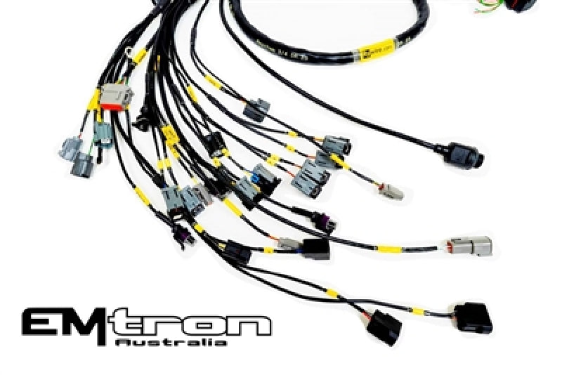 Rywire K-Series Naturally Aspirated w/Emtron KV8 ECU Engine Harness