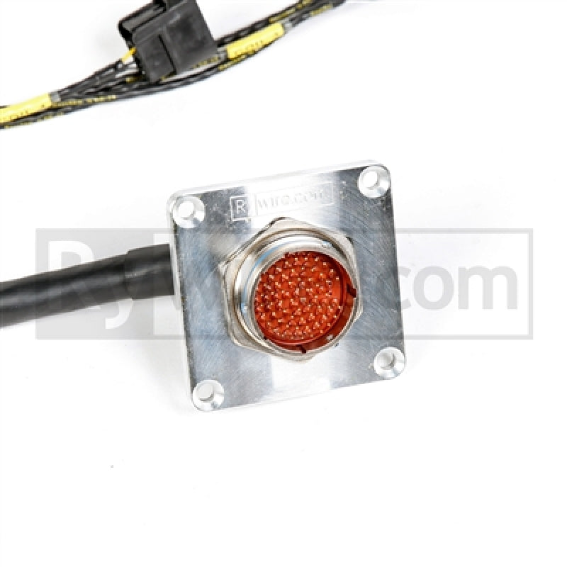 Rywire Honda F/H-Series Mil-Spec Eng Harn w/OBD1 Dist/Inj/Alt & 92-95 Plugs
