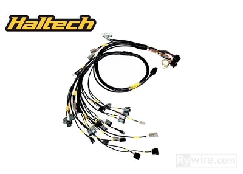 Rywire K-Series Naturally Aspirated w/Haltech ELITE 1500+ Engine Harness