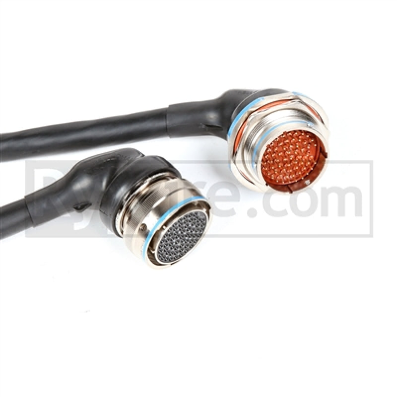 Rywire Honda F/H-Series Mil-Spec Eng Harn w/OBD1 Dist/Inj/Alt & 92-95 Plugs