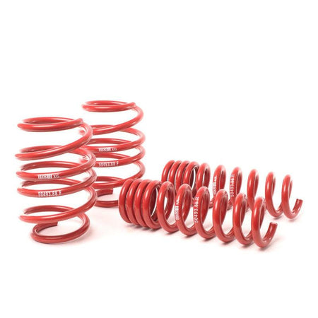 H&R 08-13 BMW M3 Coupe/M3 Sedan E92 Race Spring - Saikospeed