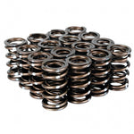 Skunk2 Pro Series Honda/Acura K-Series i-VTEC XP Valve Spring Set (Dual Springs) - Saikospeed