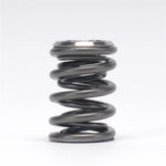 Skunk2 Alpha Series Honda/Acura K Series Valve Spring and Titanium Retainer Kit - Saikospeed