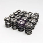 Skunk2 Alpha Series Honda/Acura K Series Valve Spring and Titanium Retainer Kit - Saikospeed