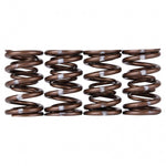 Skunk2 Pro Series Honda/Acura K-Series i-VTEC XP Valve Spring Set (Dual Springs) - Saikospeed