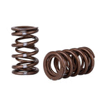 Skunk2 Pro Series Honda/Acura K-Series i-VTEC XP Valve Spring Set (Dual Springs) - Saikospeed